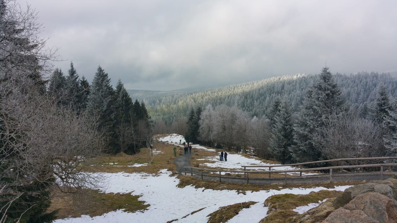 Direkt an dem Hotel Torfhaus Harzresort