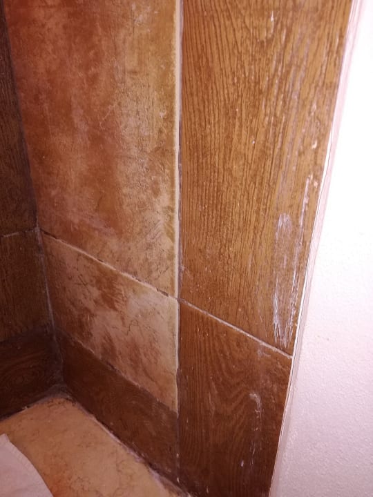 Zimmer Pickalbatros Citadel Resort