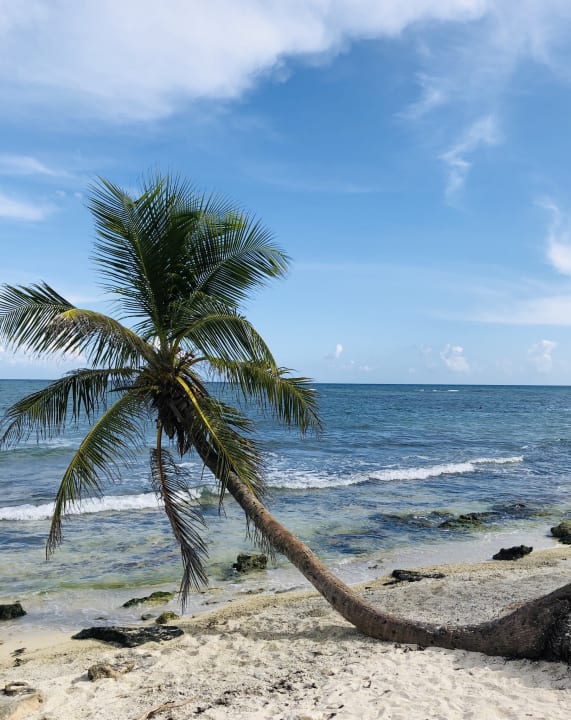 Strand Akumal Bay Beach & Wellness Resort