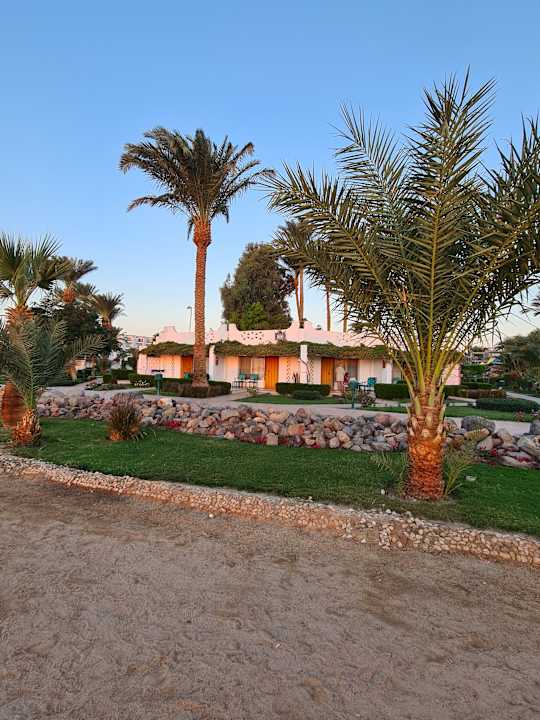Zimmer Shams Safaga Resort