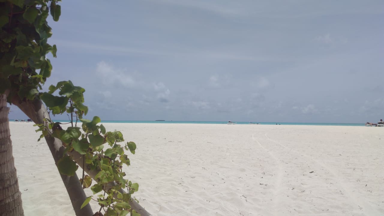 Strand Meeru Maldives Resort Island