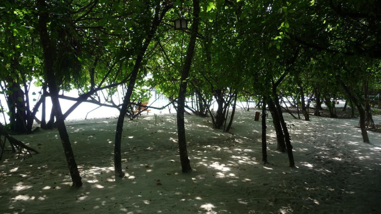 Schattige Wege NH Collection Maldives Reethi Resort