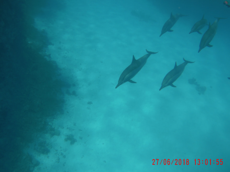 Strand Three Corners Sea Beach Resort