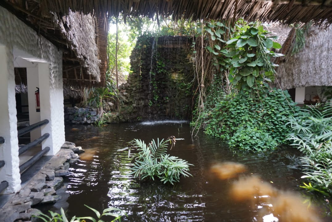 Teich mit Wasserfall Hotel Southern Palms Beach Resort