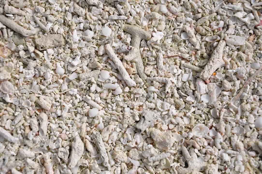 Summer Island Village Summer Island Maldives