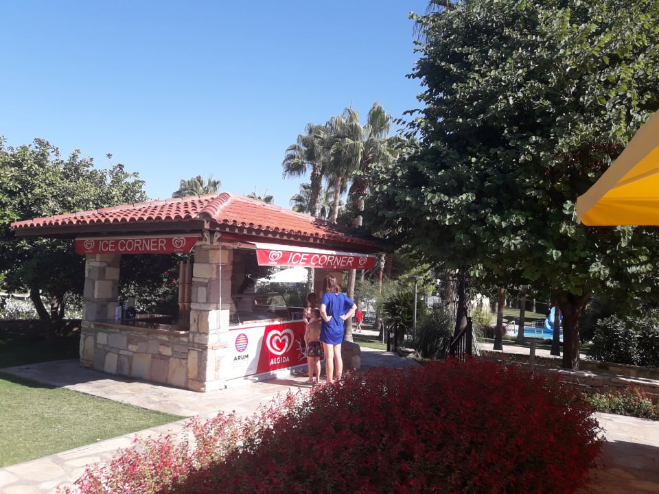 Gastro Arum Barut Collection