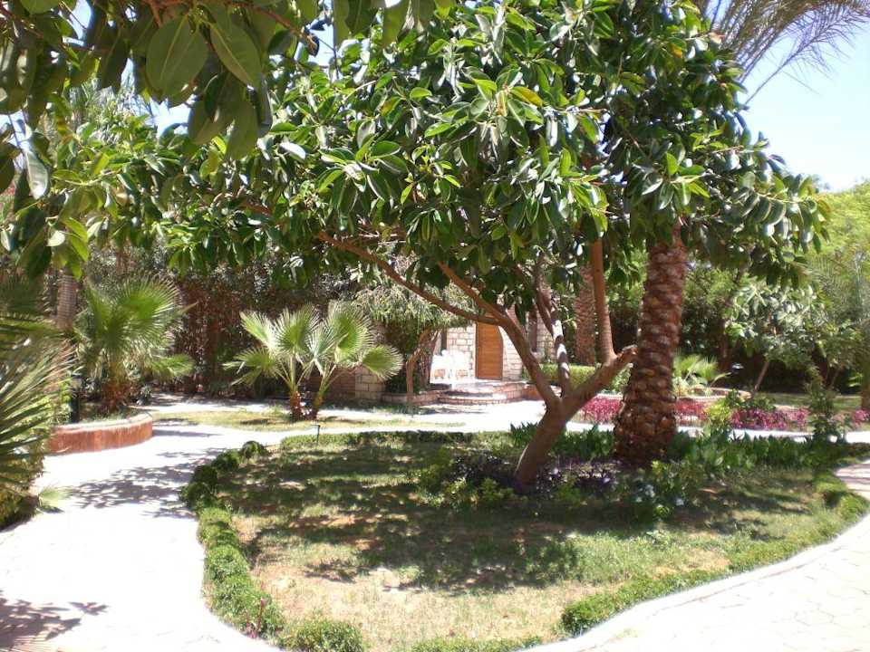 Anlage Aladdin Beach Resort