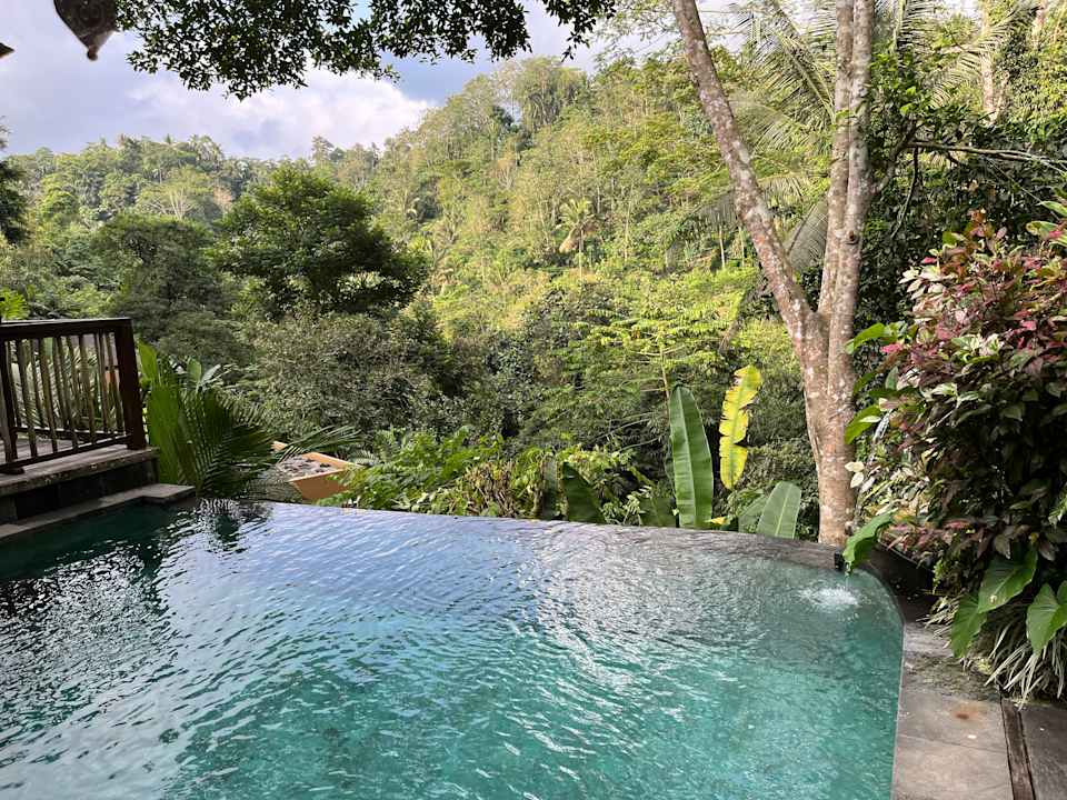 Pool The Kayon Jungle Resort