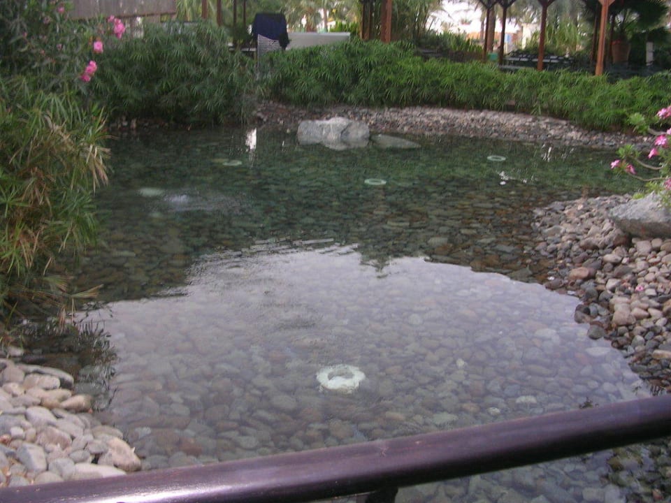 Springbrunnen Hotel Le Meridien Al Aqah Beach Resort