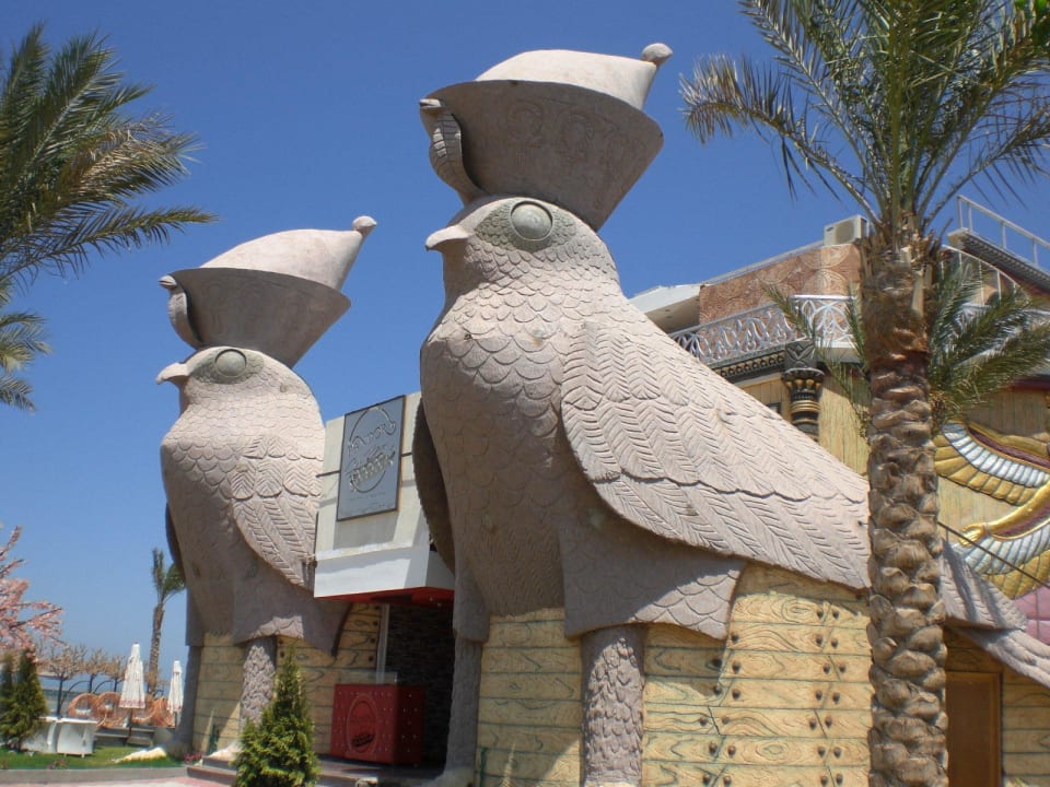 "Hotel Disko" nicht All inclusive Le Jardin Aqua Park Resort