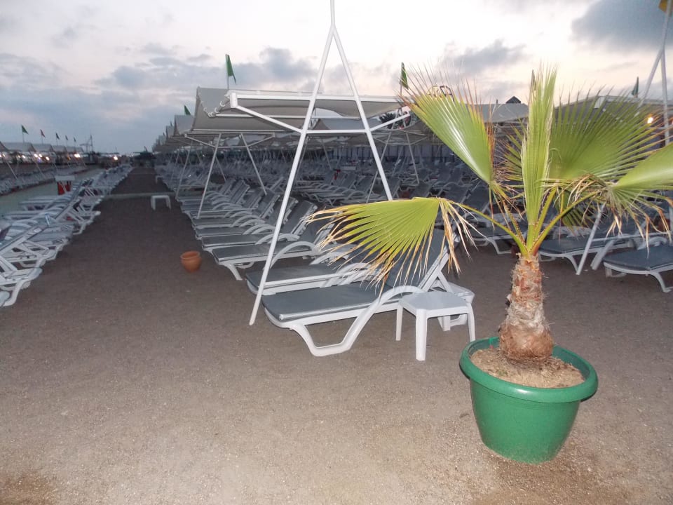 Wunderschöne Liegen Hotel Delphin Imperial