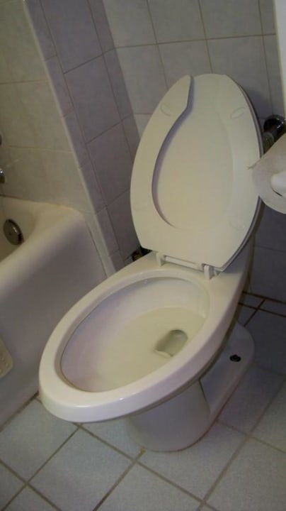 Toilette Hotel Edison