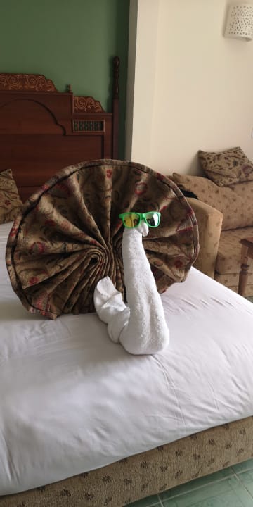 Zimmer Jasmine Palace Resort & Spa