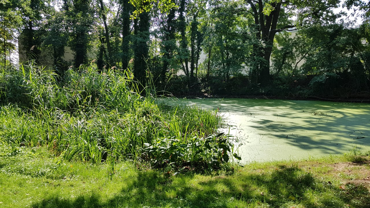 Gartenanlage Pension Villa Fortuna