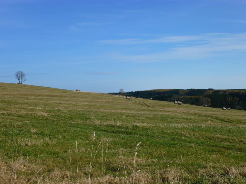 Wunderbare Gegend Best Western Ahorn Hotel Oberwiesenthal - Adults only