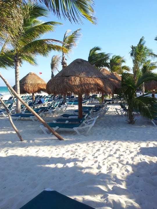 Wunderschön und sauber Catalonia Playa Maroma