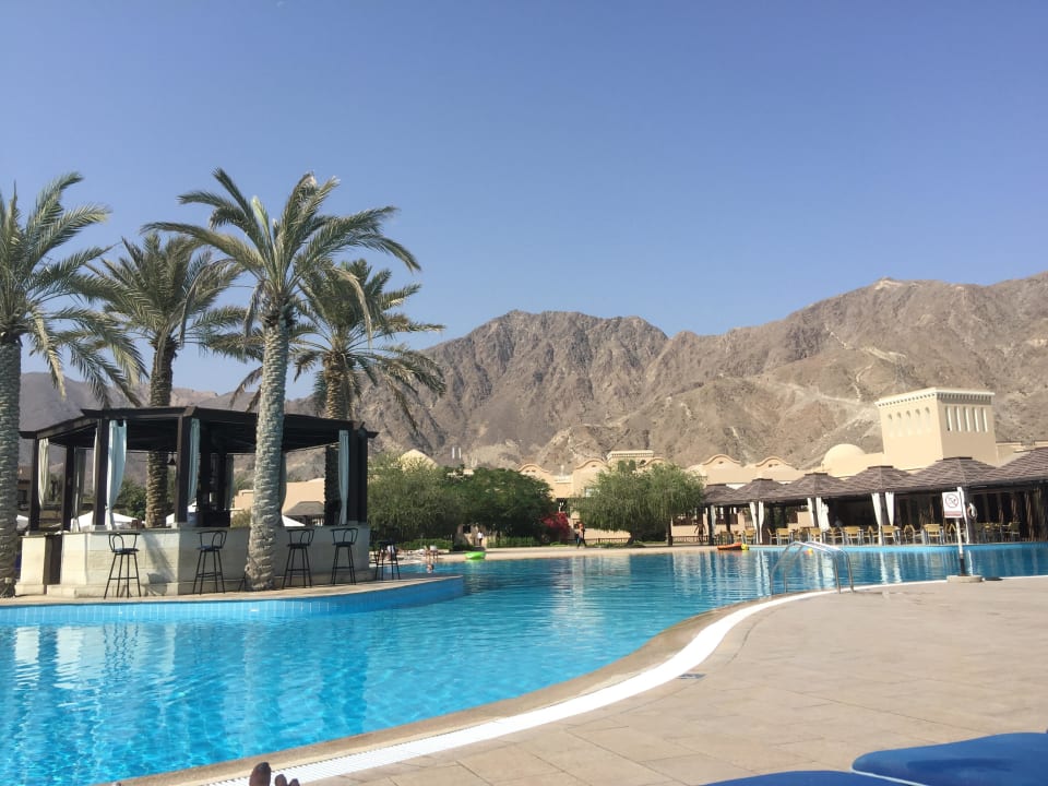 Ausblick vom Pool  Miramar Al Aqah Beach Resort