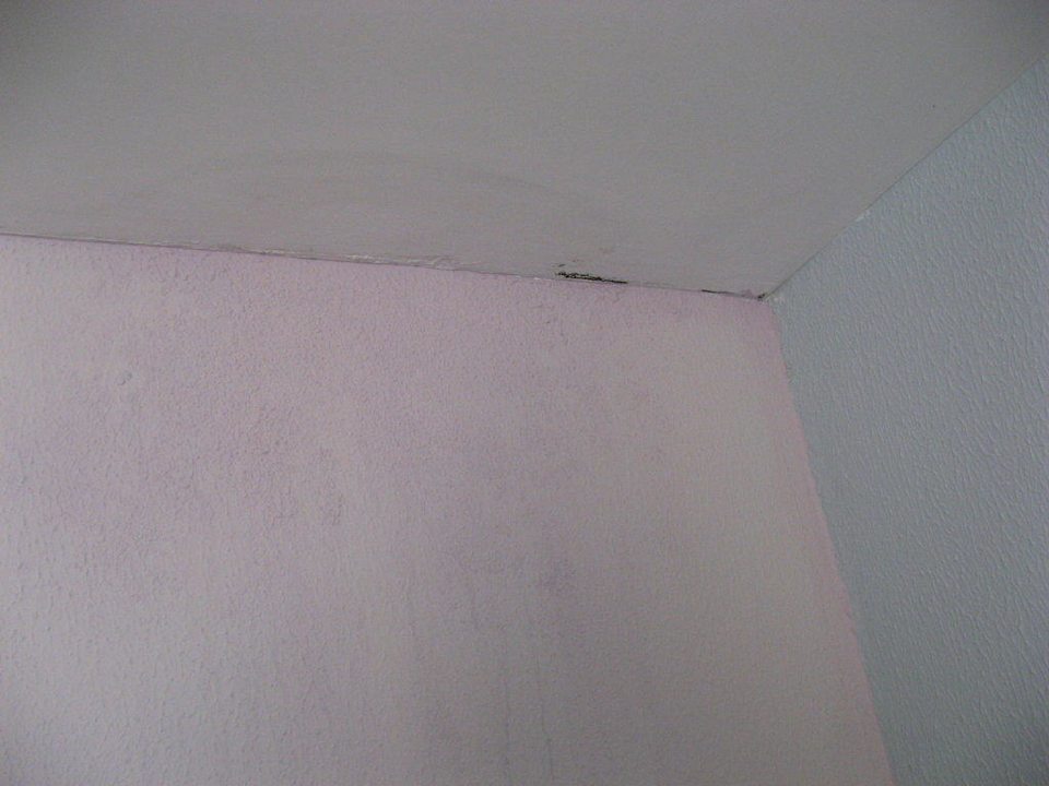 Schimmel in der Zimmerecke Hotel Ambiente Palace