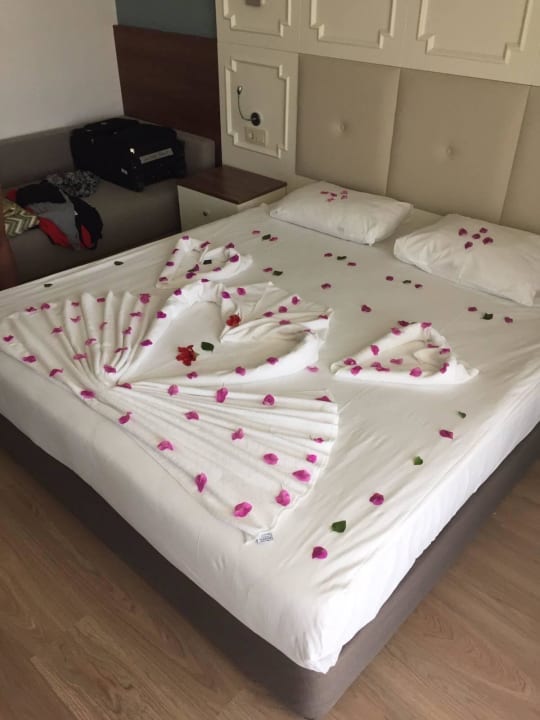 Flitterwochen  Well Palace Side