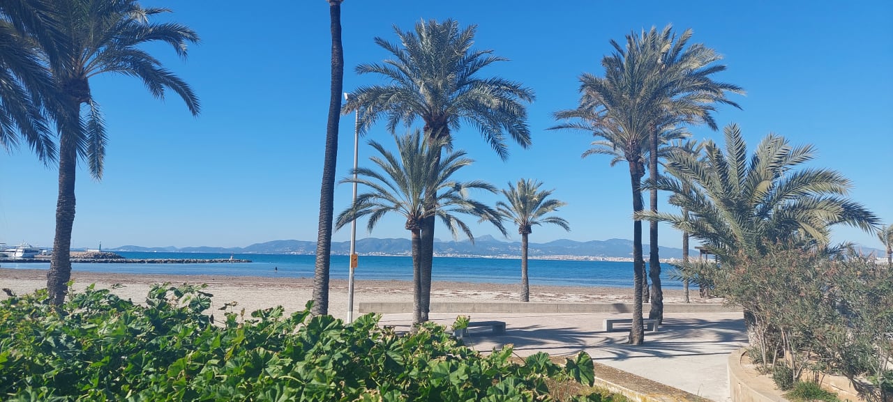 Ausblick Aparthotel Fontanellas Playa