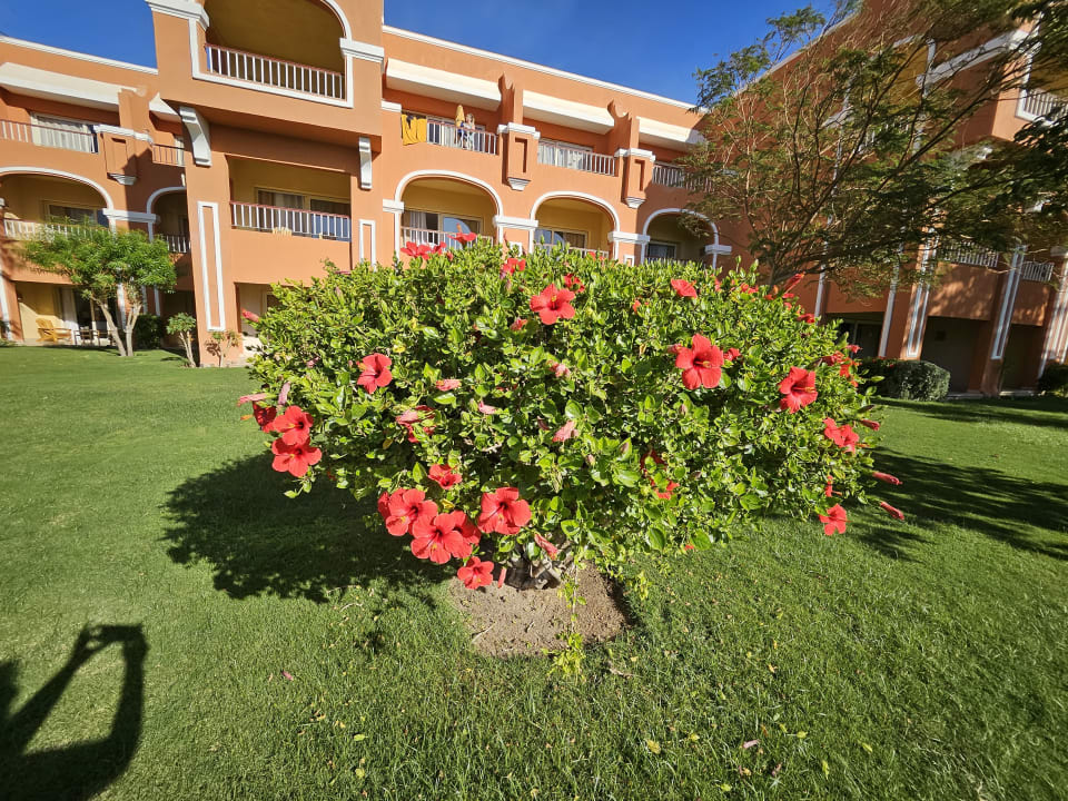 Gartenanlage Sentido Caribbean World Soma Bay