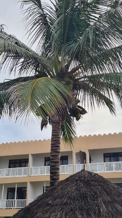 Außenansicht Reef & Beach Resort