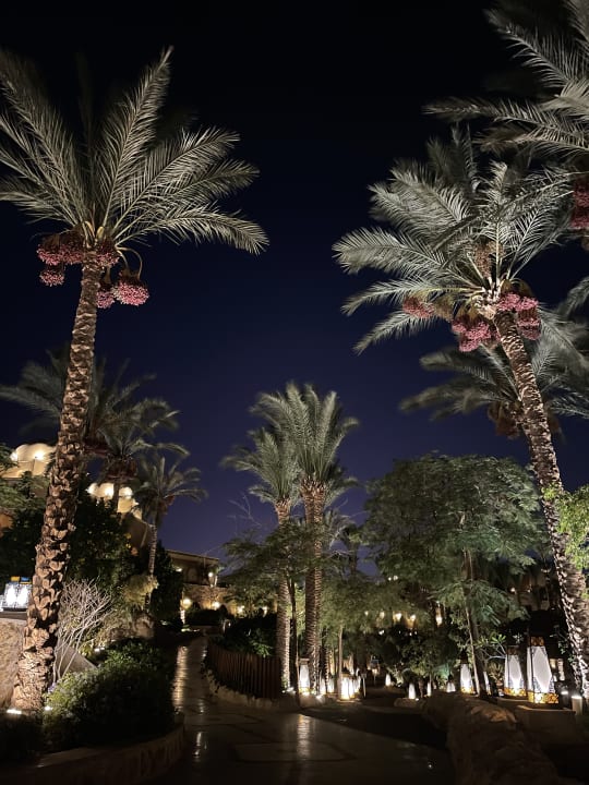 Außenansicht Makadi Spa - Adults only