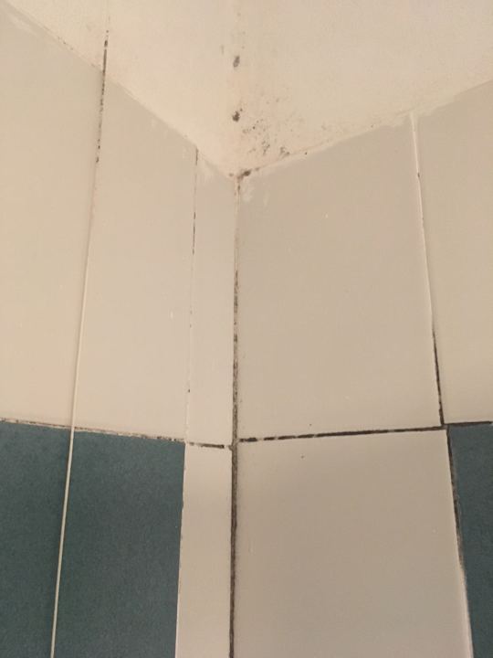 Zimmer Hotel Porta Romana