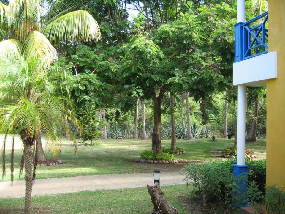 Park  Melia Las Antillas - Adults only