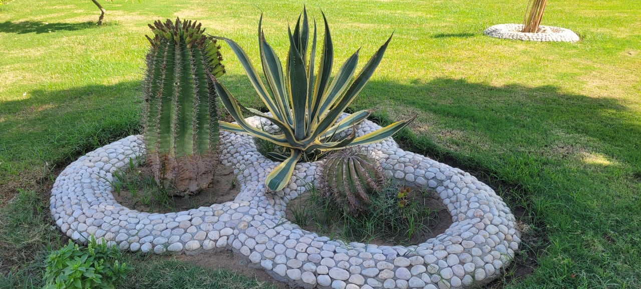 Gartenanlage Shams Safaga Resort