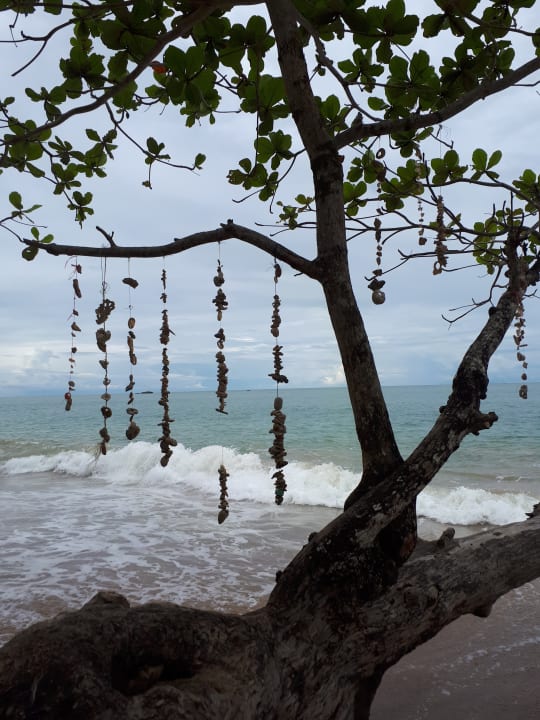 Strand Khao Lak Merlin Resort
