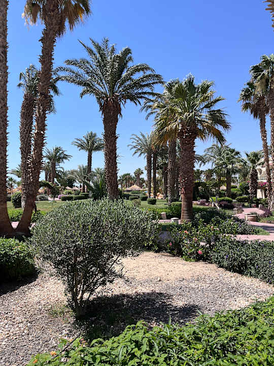 Gartenanlage Lotus Bay Beach Resort