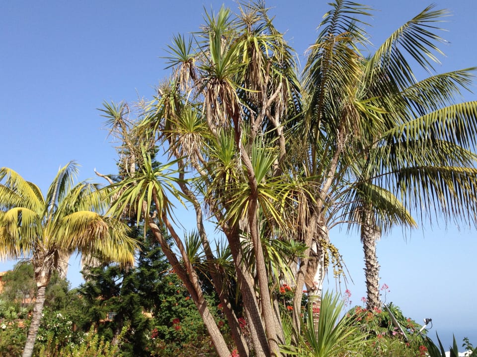 Gartenanlage Hotel Quinta Splendida Wellness & Botanical Garden
