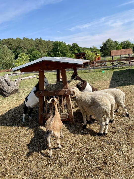 Außenansicht Ferienpark Templin
