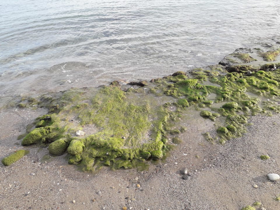 Strand Porto Bello Royal