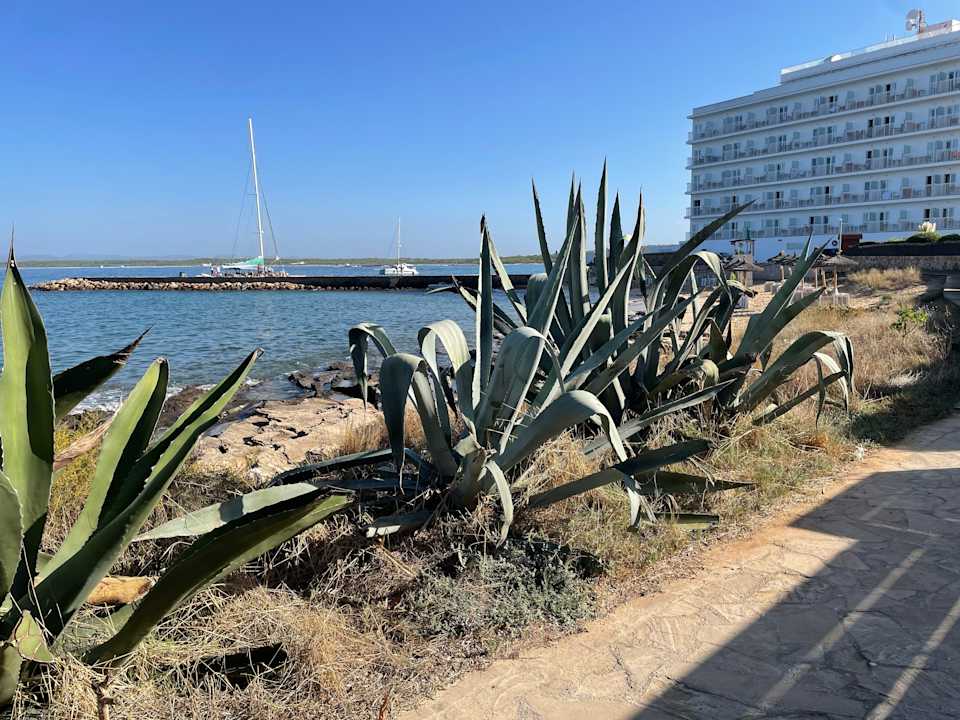 Ausblick Universal Hotel Cabo Blanco - Adults Only