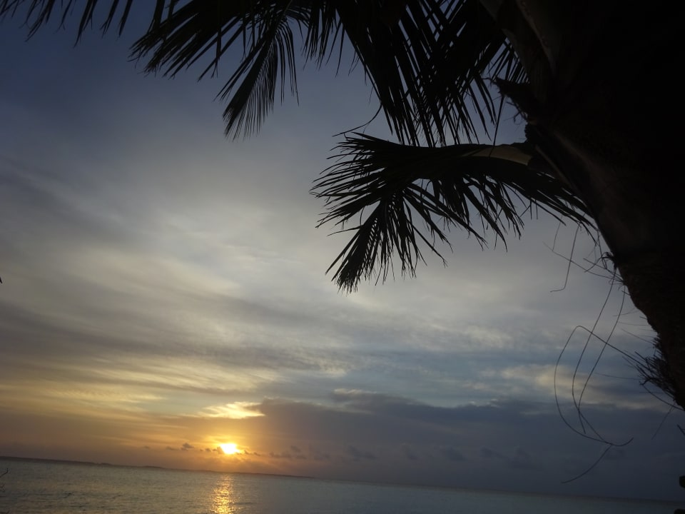 Ausblick NH Collection Maldives Havodda Resort