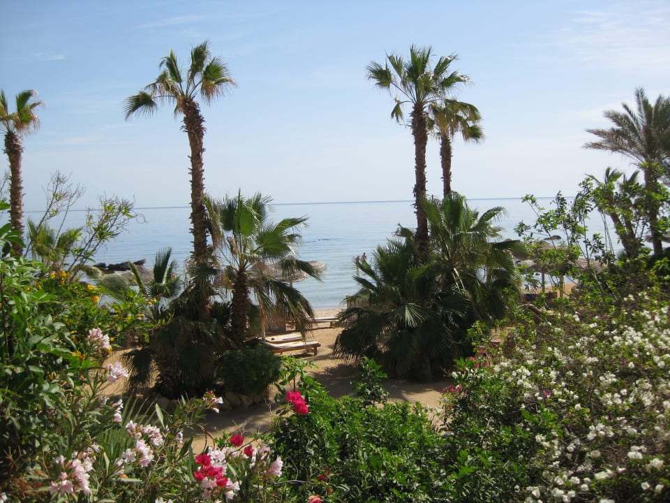 Bucht Pickalbatros Citadel Resort