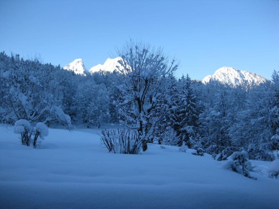Watzmann Alm- & Wellnesshotel Alpenhof