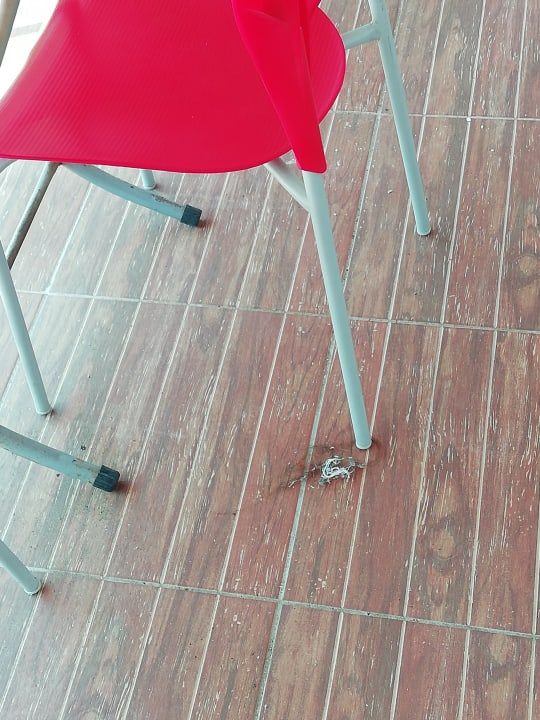 Zimmer Clover Magic Altınkum Park (Annex Clover Magic Nova Beach)