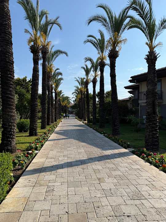 Gartenanlage TUI BLUE Palm Garden