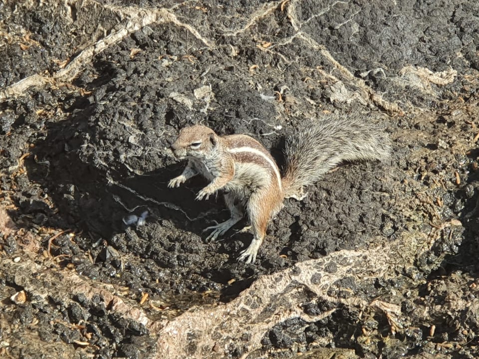 Strand SBH Costa Calma Beach Resort