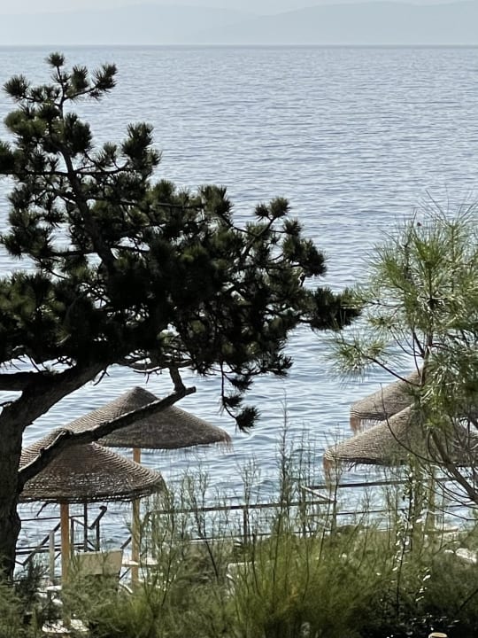 Ausblick Valamar Girandella Designed for Adults