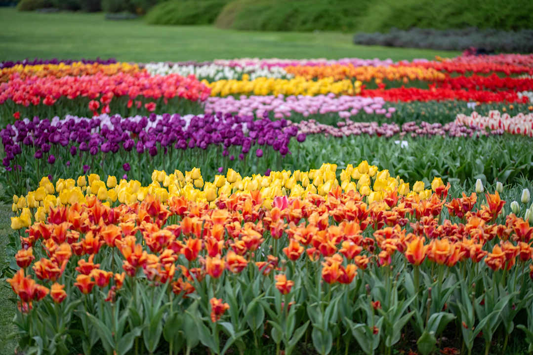 Sonstiges Casa Magenta Apartment 1