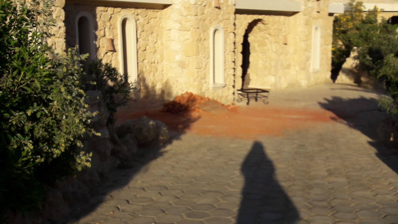 Zimmer Pickalbatros Citadel Resort