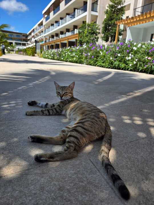 Außenansicht Serenade All Suites - Adults Only Resort