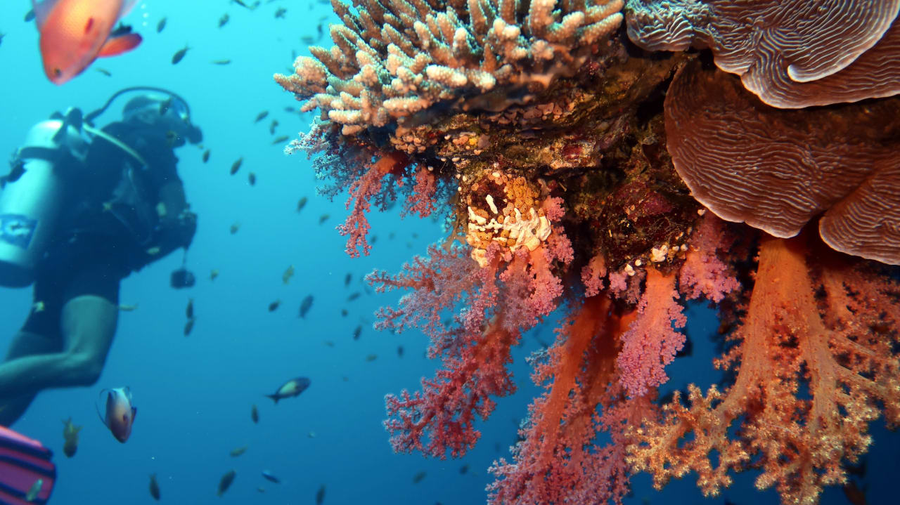 Sport & Freizeit Rixos Sharm El Sheikh Adults Only 18 +