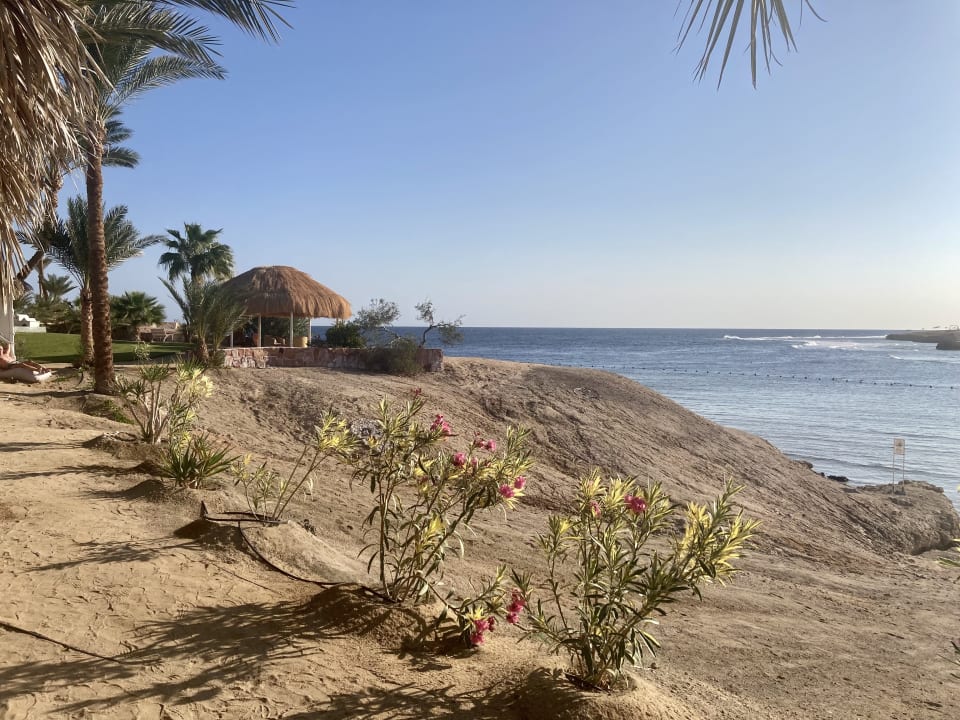 Strand Steigenberger Coraya Beach - Adults only