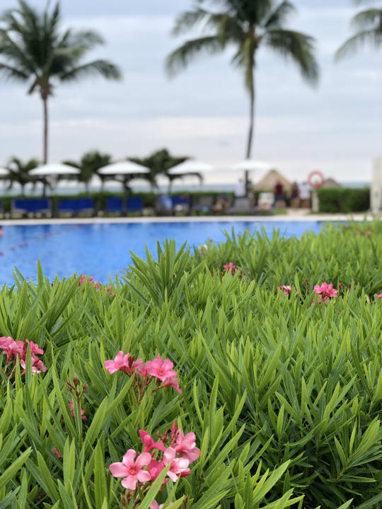 Pool Ocean Coral & Turquesa by H10