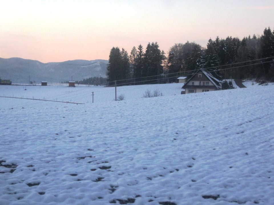 "Blick vom Fenster aus" Schwarzwaldhotel Roter Bühl (Hofstetten
